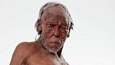 İnsanın Soy Ağacı: Homo sapiens Türüne Ait En Detaylı Taksonomik Sınıflandırma!