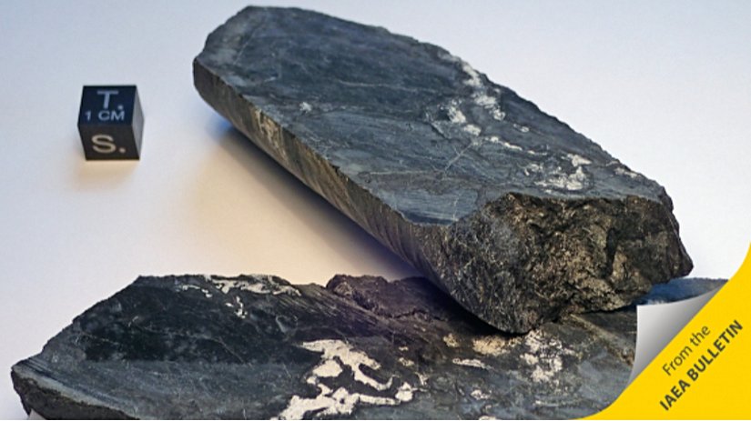 Oklo örnekleri Viyana Doğa Tarihi Müzesi