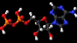 Adenozin difosfat