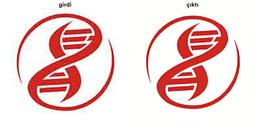 Çözünürlüğü artırılmış Evrim Ağacı logosu