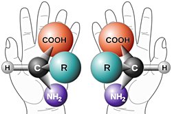 Bilim İnsanları “Ayna Yaşam” Risklerini Tartışıyor: Sentetik Hücreler Dünyayı Tehdit Edebilir mi?