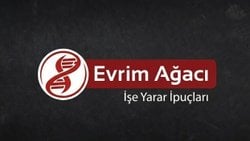 Dikkat Ekonomisi: Zamanınız Nasıl Satılıyor