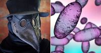 Truth behind claim 'Black Death' has returned to UK as expert issues warning