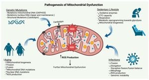 AIF3 Splicing Variant Disrupts Mitochondrial Functions