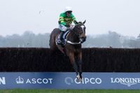 Grand National tips: Experts’ best bets and 11 horses to watch today at Aintree