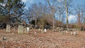 Significant Gravesite Of Enslaved People Discovered At The Hermitage