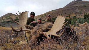 B.C. Board Rules On Moose Hunting Restraints