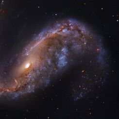  NGC 2442: Galaxy in Volans 