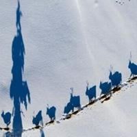 Sweden's Sami fear for future amid rare earth mining plans
