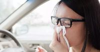 Hay fever sufferers warned this practice can see you fined £1K