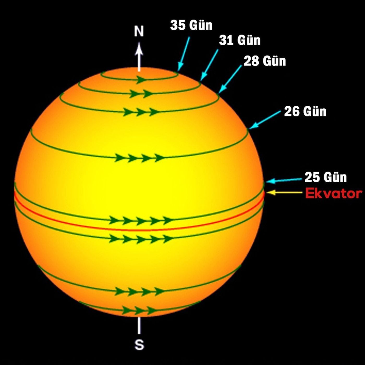 Güneş'in Hareketleri: Güneş, Kendi Etrafında Döner mi? Güneş, Uzay İçinde Hareket Ediyor mu?
