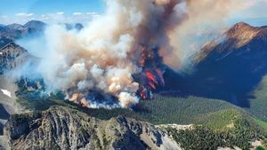 Forest Fire Emissions Skyrocket Globally