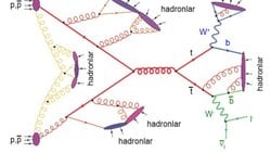 Kuantum Elektrodinamiği (QED) ve Kuantum Kromodinamiği (QCD)