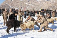 Cavalry guards stretch of rugged border area