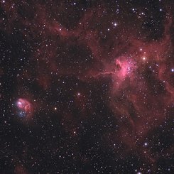 The Spider and The Fly