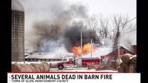 Eggiwil Barn Fire Blamed On Human Error