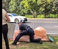 Woman’s ‘obscene’ inflatable penis costume leads to arrest … and debate about free speech