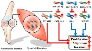 New Insights On Cartilage Breakdown Shed Light On Arthritis Treatment