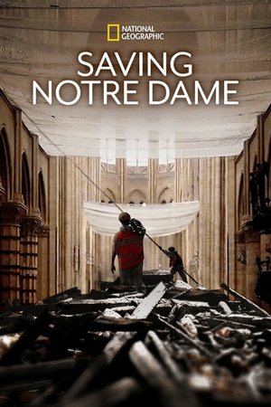 Notre Dame'ı Kurtarmak