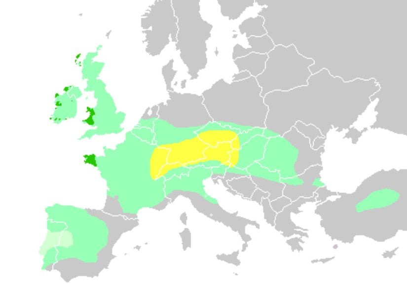 Celtic expansion in Europe   the core Hallstatt territory, expansion before 500 BC   maximum Celtic expansion by the 270s BC   Lusitanian, Autrigones, Varduli and Caristi areas of Iberia, &quot;Celticity&quot; uncertain   areas that remain Celtic-speaking today Shows present day borders.