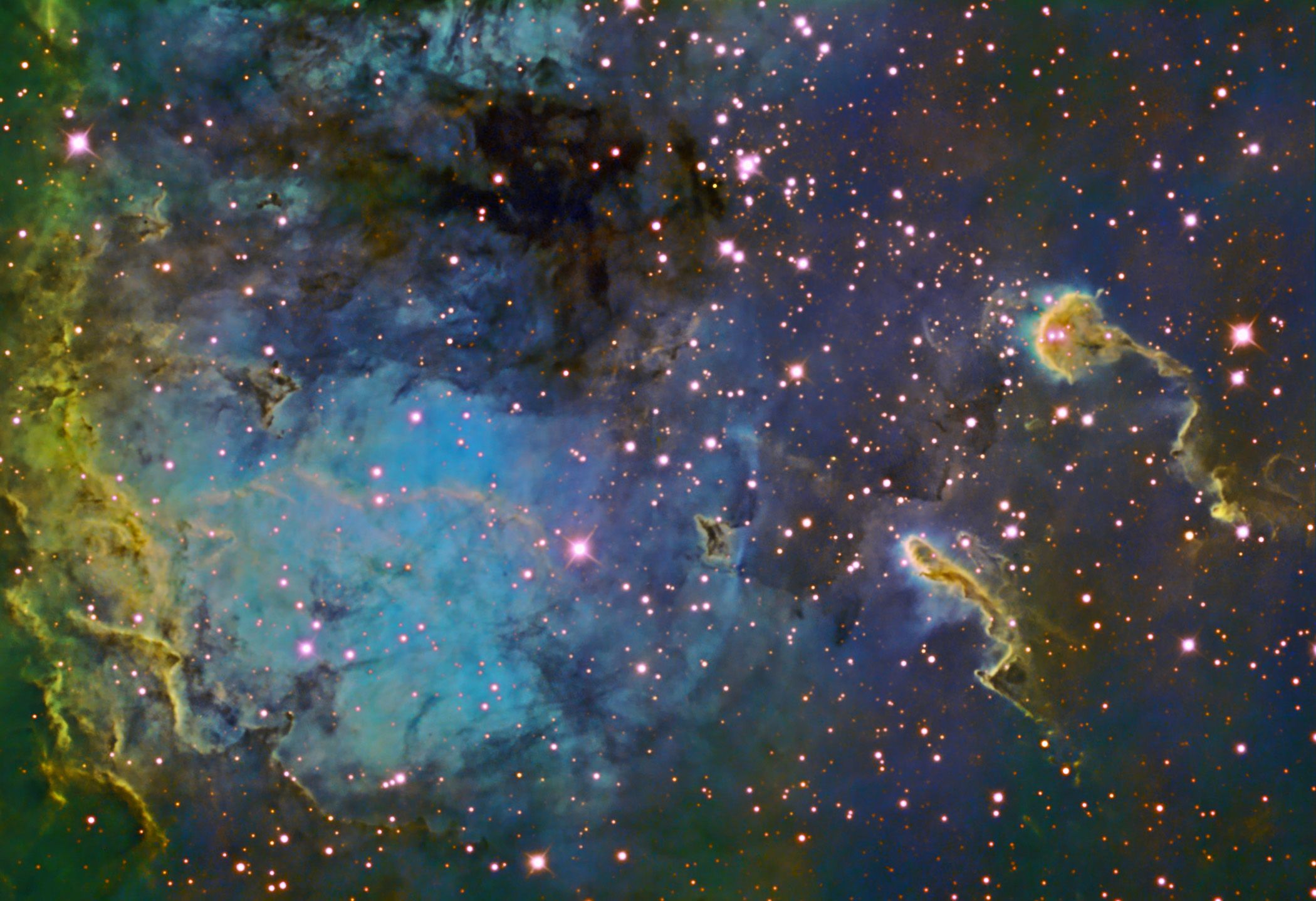 The Tadpoles of IC 410