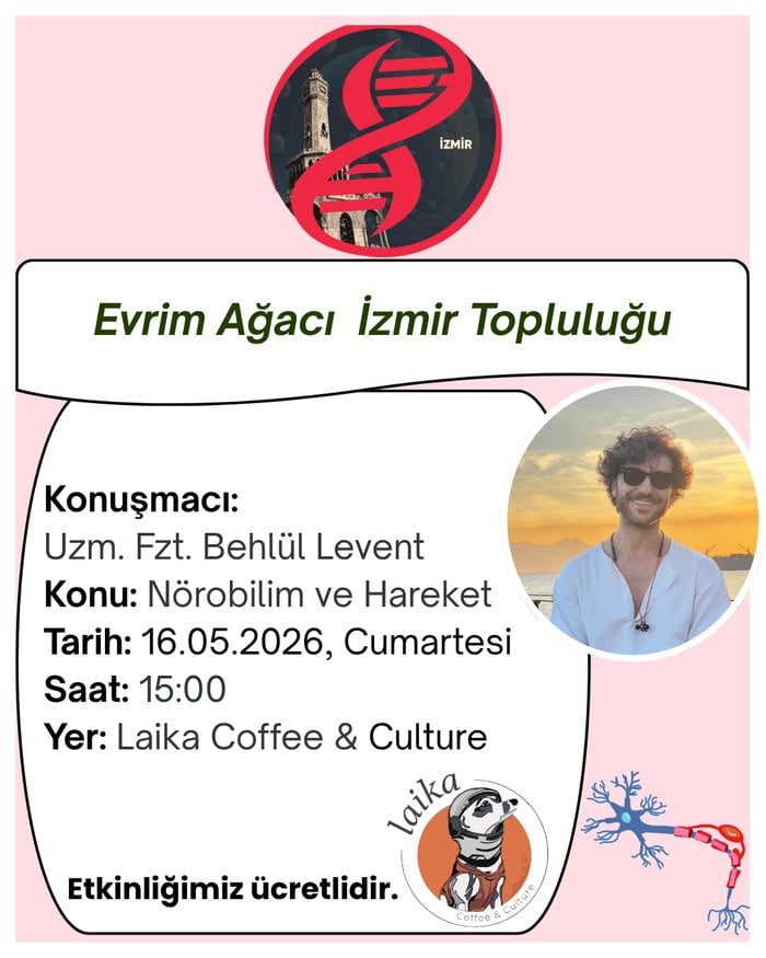 Nörobilim ve Hareket