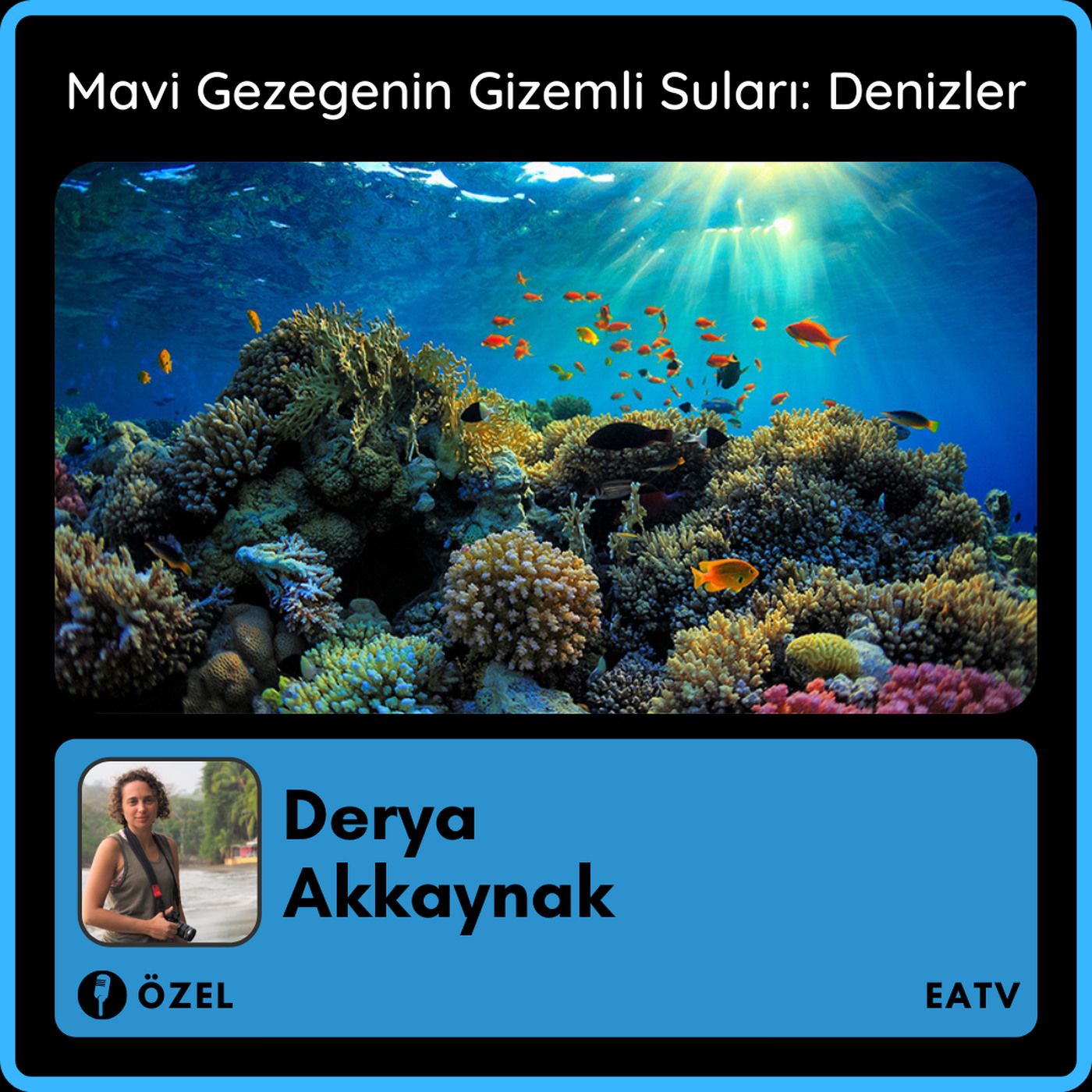 Mavi Gezegenin Gizem Dolu Suları: Denizler