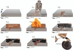 Cebelitarık'taki 65.000 Yıllık Neandertal Ocağı: İlk 'Tutkal Fabrikası' mı?