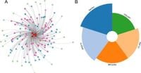 Comprehensive systems biology analysis reveals splicing factor contributions to cutaneous melanoma progression - Scientific Reports