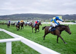 Cheltenham Hero Langer Dan Dies Suddenly After Heart Condition