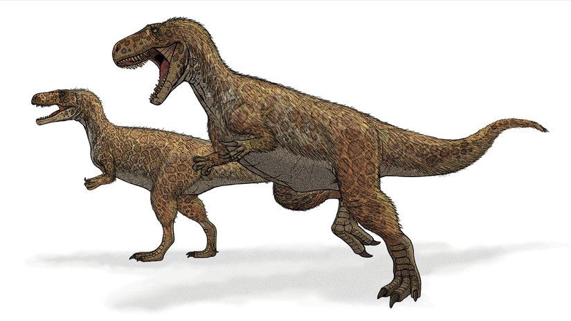 Megalosaurus: İlk Keşfedilen Dinozorun İlginç Hikayesi!
