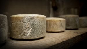 Ancient Cheese And Stone Cellar Transform Our Understanding Of History