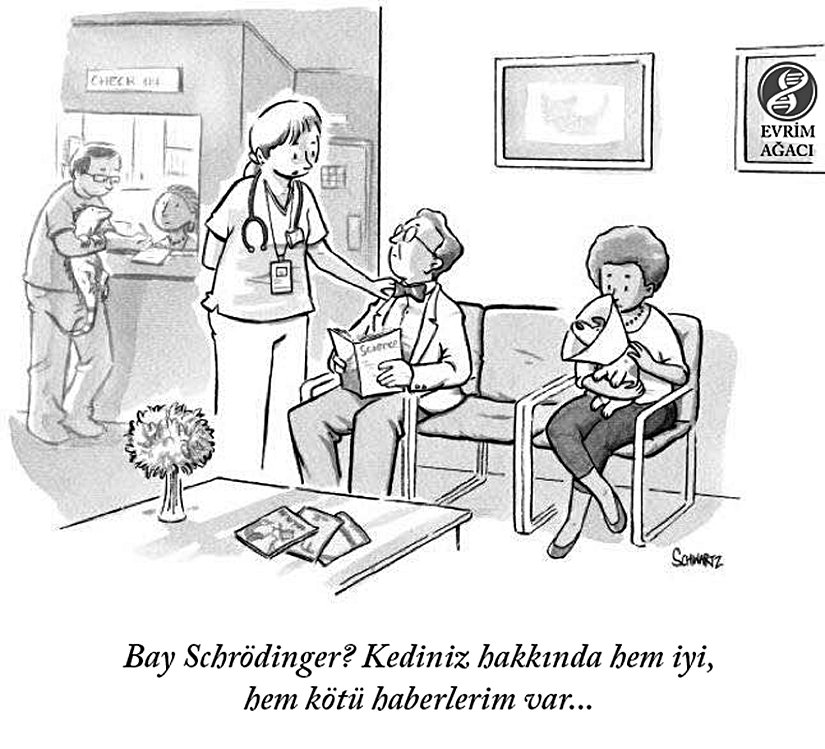 Schrödinger'in kedisi hem yaşıyor, hem ölü olabileceğine göre; doktorun da hem iyi, hem kötü haberlerinin olması çok normal, değil mi? Doktorun sözlerini dinleyene kadar hangisi olduğunu bilmemiz mümkün değil...