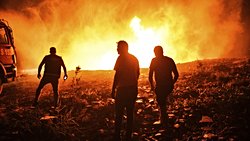 Akdeniz Ormanları'ndaki Yangınlar, Bu Yangınlarla Mücadele Yöntemleri ve Yangın Sonrası Yanlış Ağaçlandırma Konusunda Önemli Bir Uyarı!