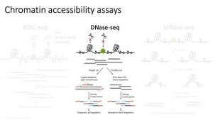 Innovative Method INSTINCT Transforms Spatial Chromatin Analysis