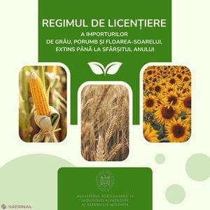 Moldova Extends Wheat Corn Sunflower Import Licensing