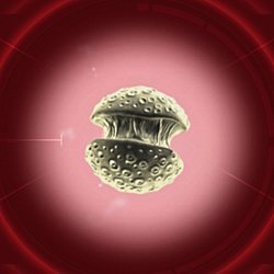 Maymunlar Cehennemi Filmindeki "Maymun Gribi" virüsü gerçek hayatta da oluşturula bilir mi?