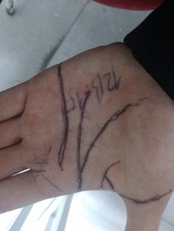 Elimizdeki bogumlar çizgiler nasıl bir surecte bize geldiler ve neden elimizdeler?