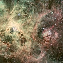Tentacles of the Tarantula Nebula