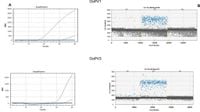 Digital droplet PCR-based detection and quantification of ovine papillomavirus DNA from the vaginal virobiota of healthy mares - Scientific Reports