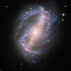  Barred Spiral Galaxy NGC 6217 