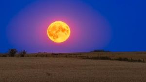 Buck Moon Rises Low Over Northern Hemisphere July 2025