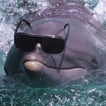 NOBK (Ne Olduğu Bilinmeyen Kanal)