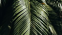 yeraltı: yarışa veda