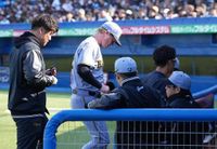 【阪神】ネルソンにアクシデント？６回登板中にコーチ、トレーナー駆けつけそのまま降板 - プロ野球 : 日刊スポーツ