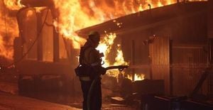 World Faces Fourfold Surge In Catastrophic Wildfires