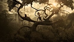 "Orman" ve "Cangıl" Arasındaki Fark: Bilimde Neden Nezaketten Ödün Vermemeliyiz?