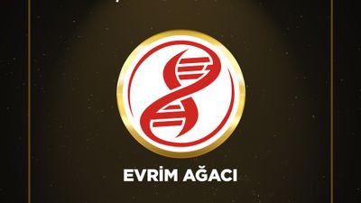 Evrim Ağacı, Boğaziçi Bilişim Ödülleri’nde 