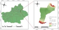 Effects of biochar and nitrogen fertilizer on microbial communities, CO2 emissions, and organic carbon content in soil - Scientific Reports