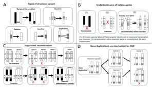 New Machine Learning Tool Promises Major Advances In Genotyping Structural Variants